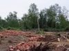 IMG-20251009-WA0008