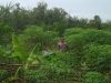 IMG-20251109-WA0011