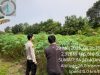 IMG-20260529-WA0043