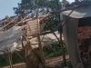 IMG-20260531-WA0049