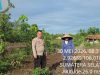 IMG-20260601-WA0002