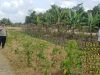 IMG-20260611-WA0039