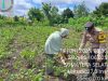 IMG-20260617-WA0117
