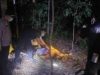 IMG-20260720-WA0032