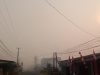 IMG-20260913-WA0008