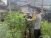 Bhabinkamtibmas Polsek Banyuasin II Dorong Warga Muara Sungsang Manfaatkan Pekarangan IMG-20261011-WA0061